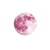 3D Luminous Moon and Earth Wall Stickers - Edrimi